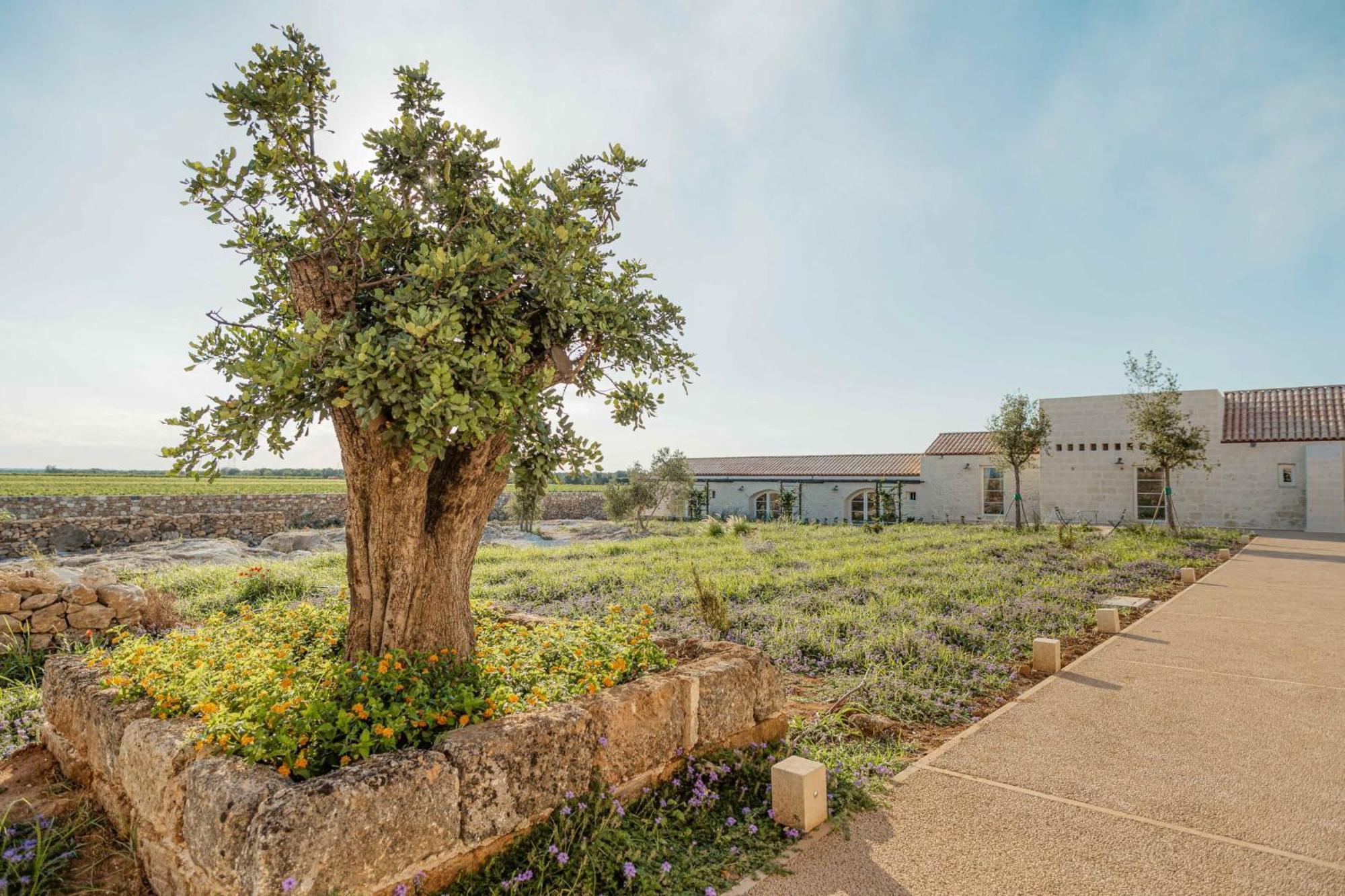 Masseria Vaccaro By Raro Villas - Self Check-In Бриндизи Экстерьер фото