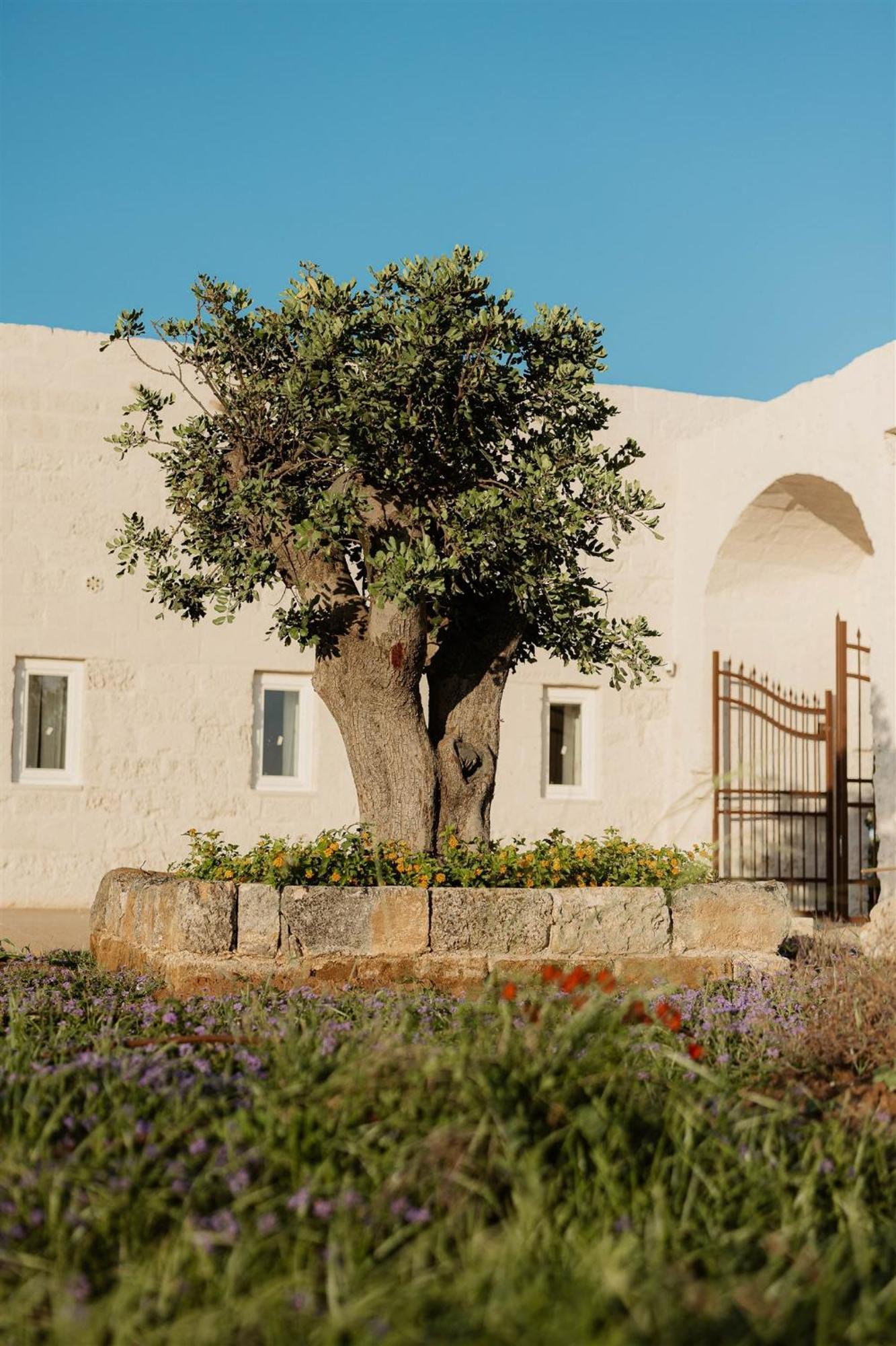 Masseria Vaccaro By Raro Villas - Self Check-In Бриндизи Экстерьер фото